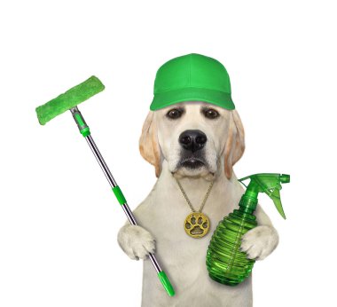 Yeşil şapkalı bir köpek temizleyicisinin elinde sprey şişesi ve paspas var. Beyaz arka plan. İzole edilmiş.