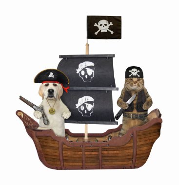 Köpekli bej bir kedi bir korsan yelkenli gemisinde yüzüyor. Beyaz arka plan. İzole edilmiş.