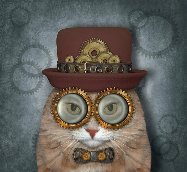 Şapka, metal papyon ve gözlük takan bej renkli bir kedi Steampunk. Gri arkaplan.