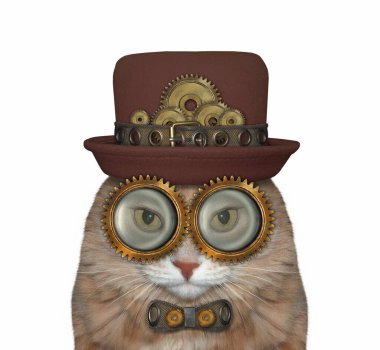 Şapka, metal papyon ve gözlük takan bej renkli bir kedi Steampunk. Beyaz arka plan. İzole edilmiş.
