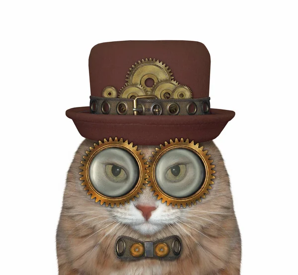 Şapka, metal papyon ve gözlük takan bej renkli bir kedi Steampunk. Beyaz arka plan. İzole edilmiş.