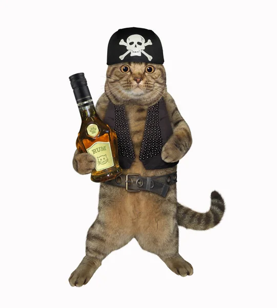 A beige cat in a pirate uniform is drinking rum. White background. Isolated.