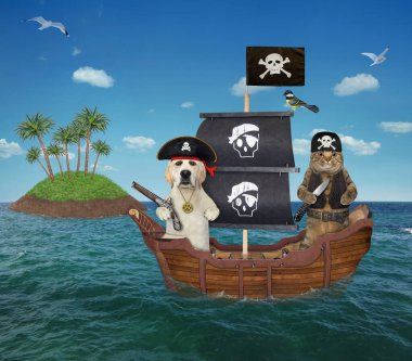 Köpekli bej bir kedi açık denizde ıssız bir adanın yakınındaki bir korsan yelkenli gemide yüzüyorlar..