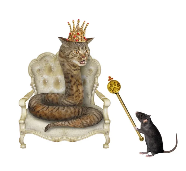 Una Serpiente Gato Beige Una Corona Oro Está Trono Una — Foto de Stock