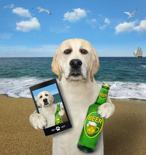 A dog with a bottle of beer takes selfie on the seashore.