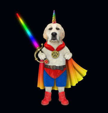 Renkli pelerinli, gökkuşağı boynuzlu, çizmeli ve şortlu bir köpek parlayan bir kılıç tutar. Siyah arka plan. İzole edilmiş.