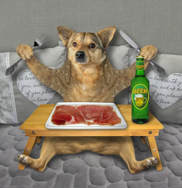 Beige Dog Eating Slice Raw Meat Square Plate Drinking Beer — Stock Photo, Image