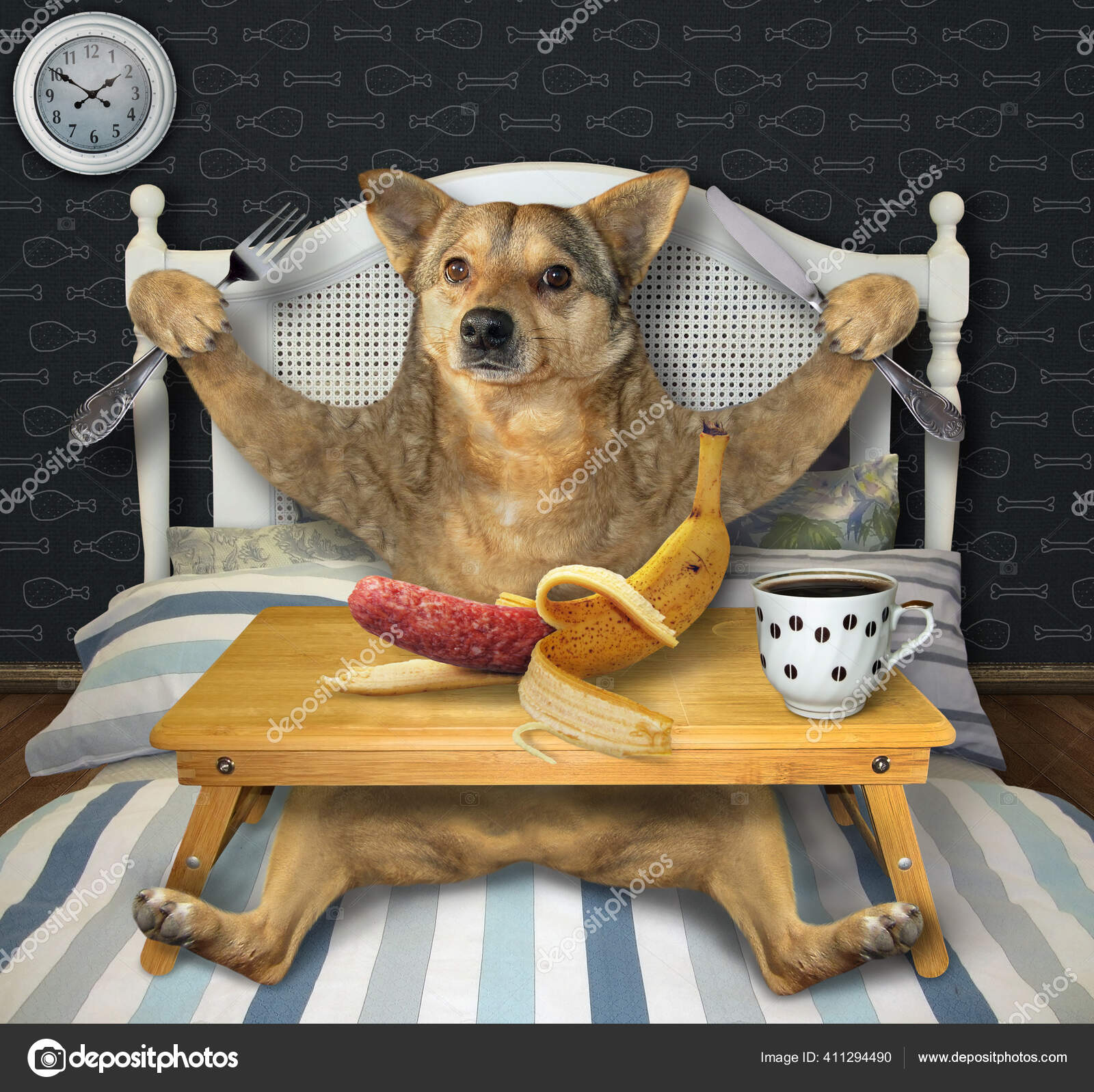 ベージュの犬がバナナの皮でソーセージを食べ ベッドの上で黒いコーヒーを飲んでいます ストック写真 C Iridi
