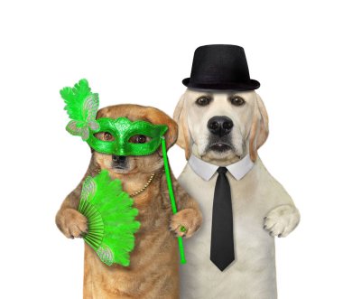 Birbirine aşık iki köpek eğleniyor. Beyaz arka plan. İzole edilmiş.
