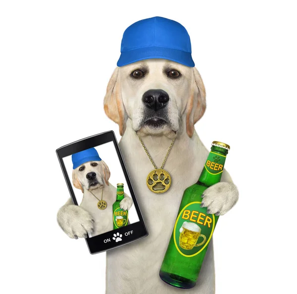 Cão Com Uma Garrafa Cerveja Leva Selfie Fundo Branco Isolados — Fotografia de Stock