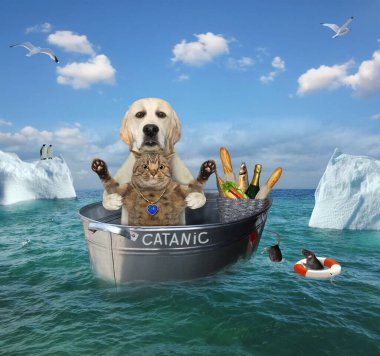 Gemi kazasından sonra kedisi olan bir köpek denizdeki buzdağlarının arasında Catanic denen çelik bir küvette sürükleniyorlar..