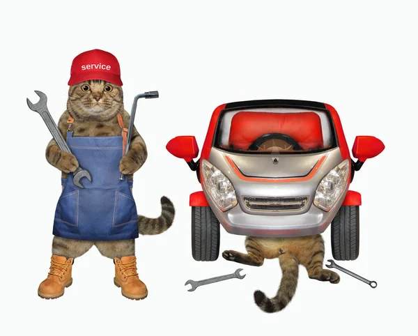 Los Gatos Mecánicos Automóviles Con Llaves Están Arreglando Coche Fondo — Foto de Stock