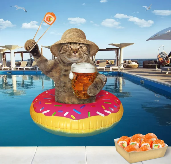 Beige Big Eyed Cat Drinking Beer Eating Sushi Swimming Pool — Stock Photo, Image
