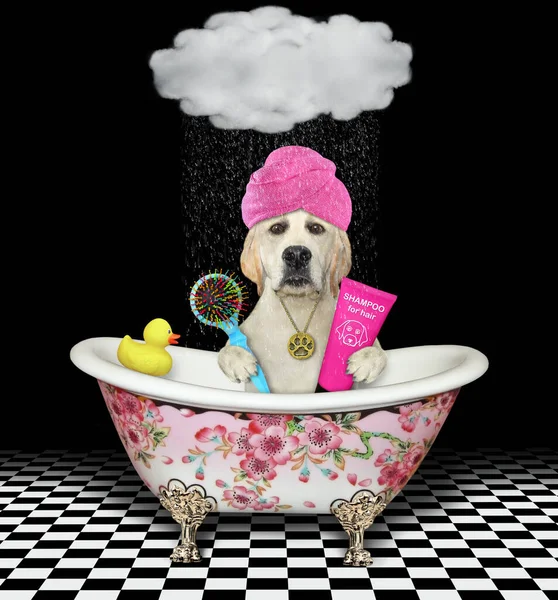 Dog Pink Towel Its Head Taking Bath Cloud — Stock Photo, Image