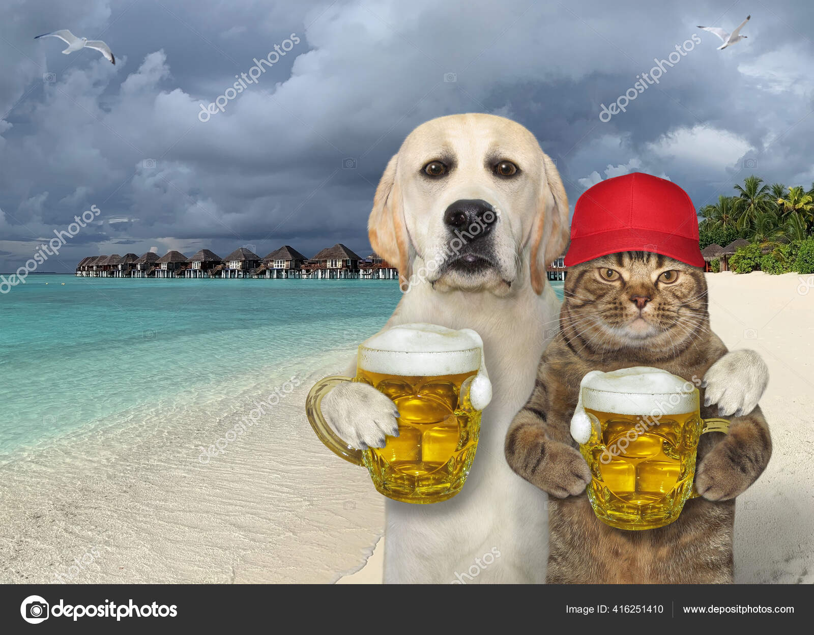 Chien Avec Une Tasse Biere Serre Chat Dans Une Casquette Image Libre De Droit Par Iridi C