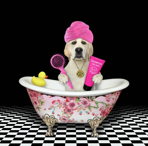 Dog Pink Towel Its Head Taking Bath — Stock Photo, Image