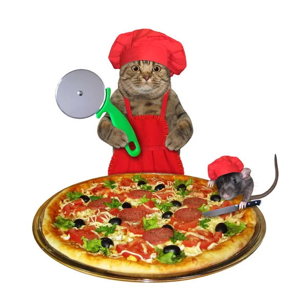 Gato Rato Com Chapéus Chef Vermelho Estão Cortar Uma Pizza — Fotografia de Stock