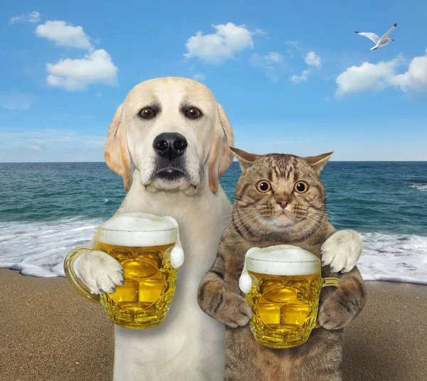 Собака Кружкой Пива Обнимает Кошку Красной Шапочке Берегу Моря — стоковое фото