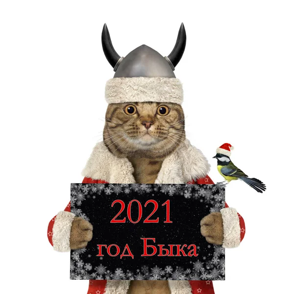 Gato Capacete Viking Santa Detém Sinal Que Diz 2021 Ano — Fotografia de Stock