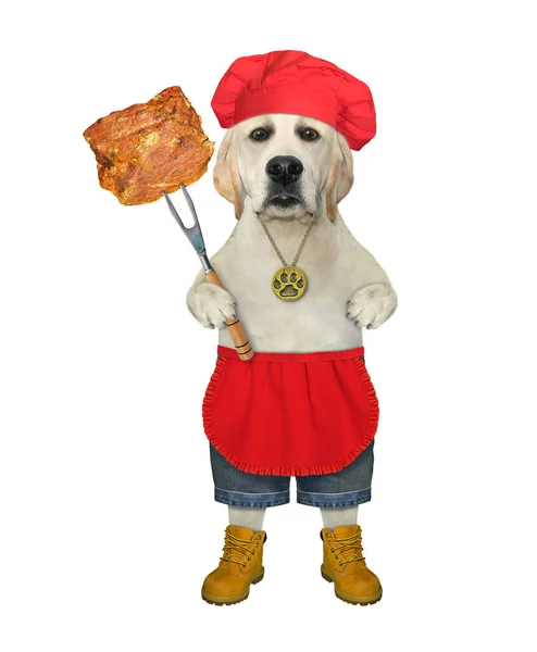 Cão Bege Com Chapéu Chef Vermelho Está Segurando Garfo Churrasco — Fotografia de Stock
