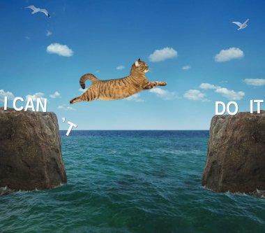 Cesur bir kedi boğazın üzerinden atlar. Ben bunu yapamam. Pozitif motivasyon.