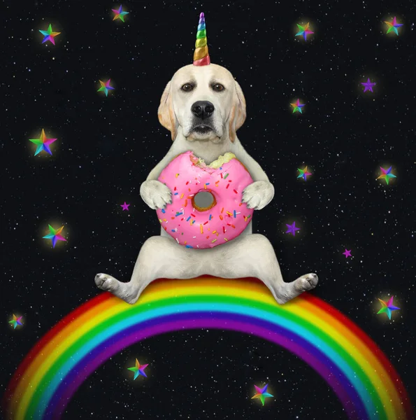 Een Hond Eenhoorn Zit Een Regenboog Eet Een Roze Donut — Stockfoto