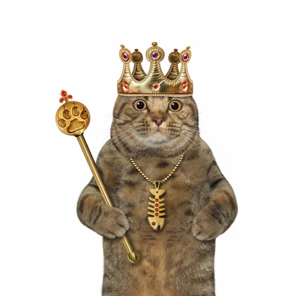 Бежевий Великий Кіт Короні Тримає Золотий Королівський Скіпетр Білий Фон — стокове фото