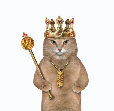 Taçlı bej bir kedi altın bir kraliyet asası tutuyor. Beyaz arka plan. İzole edilmiş.