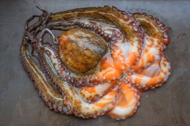Tüm çiğ ahtapot siyah bir taş tablo. Kavram - sağlıklı gıda, taze deniz ürünleri