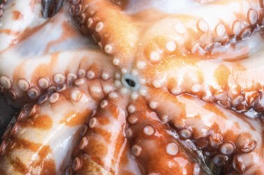 Tüm çiğ ahtapot siyah bir taş tablo. Kavram - sağlıklı gıda, taze deniz ürünleri. Seçici odak.