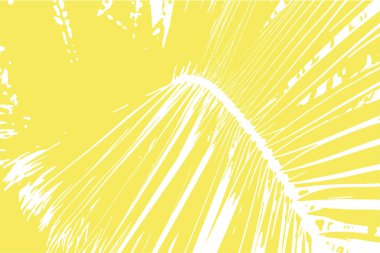 Yakın çekim manzara taze hurma ağacı yaprak. Sarı. Vektör çizim.