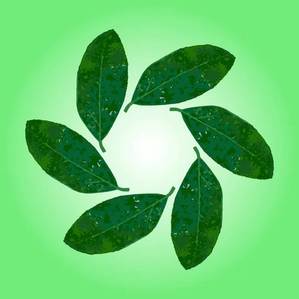  Yuvarlak kare yeşil yaprakları ile. Kavram-ekoloji, çevre koruma, doğa. Vektör çizim.
