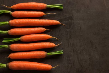 Parlak olgun havuç yaprakları tablosundaki ile. Kavram sağlıklı gıda, vejetaryenlik, çiğ gıda, bir kaynağı karoten ve vitamin A, B .