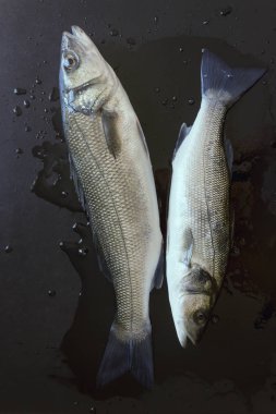 Taze balık siyah bir taş tablo. Kavram - sağlıklı gıda, taze deniz ürünleri. Dicentrarchus labrax.