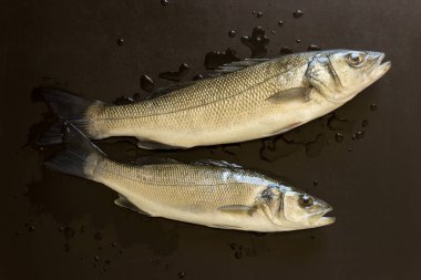 Taze balık siyah bir taş tablo. Kavram - sağlıklı gıda, taze deniz ürünleri. Dicentrarchus labrax.