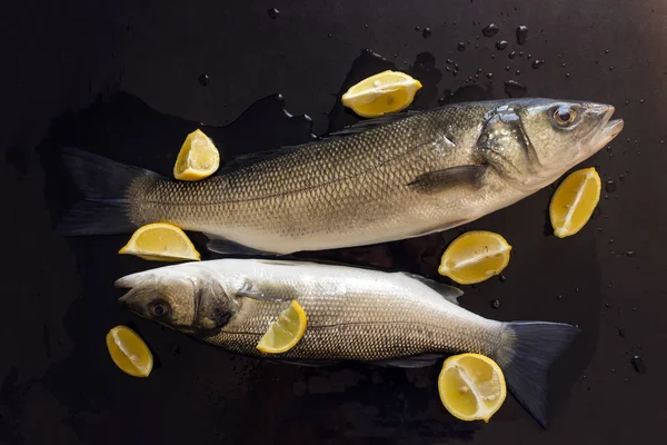 Taze çiğ balık pişirme için hazırlanmış. Sulu limon dilimleri. Dicentrarchus labrax. Kavram - sağlıklı gıda, taze deniz ürünleri.