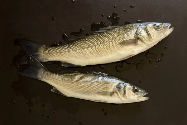 Taze balık siyah bir taş tablo. Kavram - sağlıklı gıda, taze deniz ürünleri. Dicentrarchus labrax.