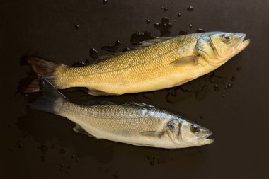Taze balık siyah bir taş tablo. Kavram - sağlıklı gıda, taze deniz ürünleri. Dicentrarchus labrax.
