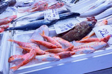 Deniz balıkları üstünde belgili tanımlık sayaç bir Yunan balık dükkanda çeşitli. Kavram - sağlıklı gıda, taze deniz ürünleri.