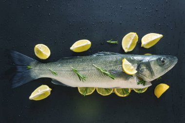 Taze çiğ balık pişirme için hazırlanmıştır. Baharatlarla Marine edilmiş ve sulu limon ve biberiye dilimleriyle doldurulmuş. Dicentrarchus labrax. Konsept-sağlıklı gıda, taze deniz ürünleri.