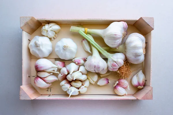 Young garlic in a vegetable box. Concept- organic vegetables, healthy food.