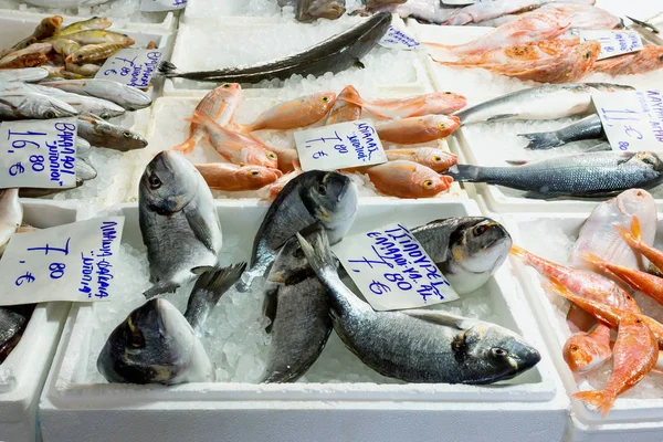 Variedad Peces Mar Mostrador Una Pescadería Griega Concepto Comida Saludable —  Fotos de Stock