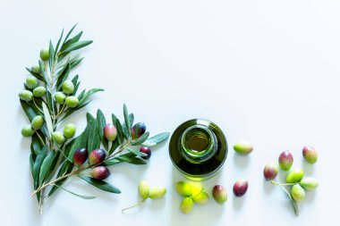  Hafif arka planda zeytinyağı ve zeytin yağı. Dal üzerinde olgun, koyu ve yeşil zeytinler. Boşluğu kopyala.