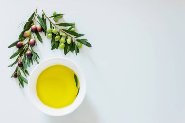  Hafif arka planda zeytinyağı ve zeytin yağı. Dal üzerinde olgun, koyu ve yeşil zeytinler. Boşluğu kopyala.