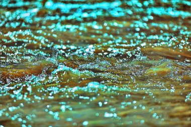 Altai dağındaki vahşi nehir.