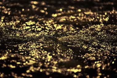 Altai dağındaki vahşi nehir.