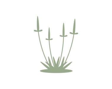 Yeşil bitkilerle fizik tedavi