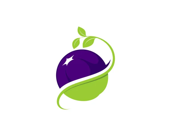 Logo Saludable Vector Vegetal — Vector de stock