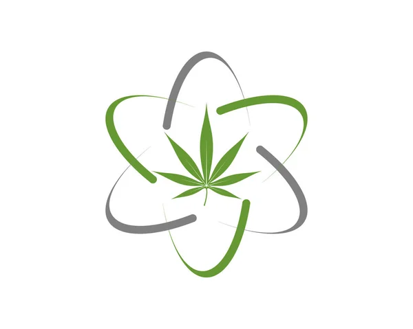 Cannabis Avec Courbe Symbole Scientifique — Image vectorielle