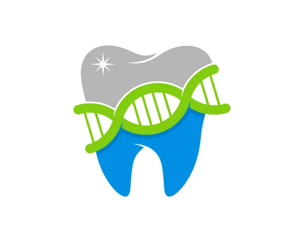 Dentes Saudáveis Hélice Dna Com Tratamento Dentário —  Vetores de Stock